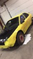 /album/carage/hannan-maalauspuuhia2-jpg/